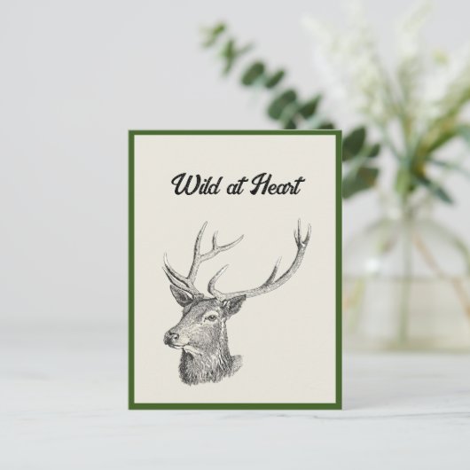 Deer Buck Head met gewei zwart-wit kunst Briefkaart (Staand voorkant)