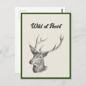 Deer Buck Head met gewei zwart-wit kunst Briefkaart (Voorkant / Achterkant)