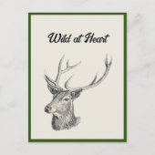 Deer Buck Head met gewei zwart-wit kunst Briefkaart (Voorkant)