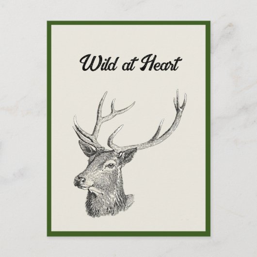 Deer Buck Head met gewei zwart-wit kunst Briefkaart (Voorkant)