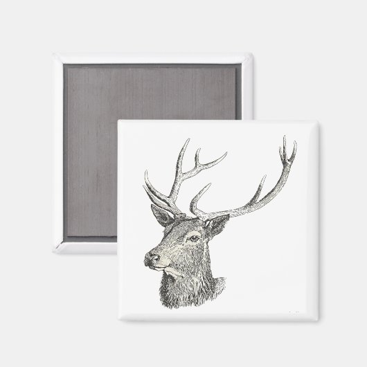 Deer Buck Head met gewei zwart-wit kunst Magneet (Voorkant / Achterkant)