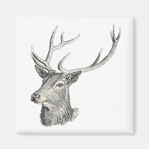 Deer Buck Head met gewei zwart-wit kunst Magneet