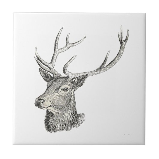 Deer Buck Head met gewei zwart-wit kunst Tegeltje (Voorkant)
