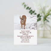 Deer Buck in Winter Snow Kaart (Staand voorkant)
