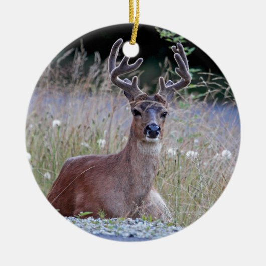 Deer Buck Lying Down Keramisch Ornament (Voorkant)