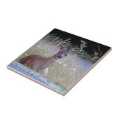 Deer Buck Lying Down Tegeltje (Zijkant)
