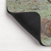 Deer buck Mousepad Muismat (Hoek)