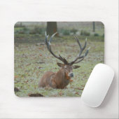 Deer buck Mousepad Muismat (Met muis)