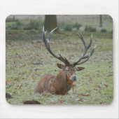 Deer buck Mousepad Muismat (Voorkant)