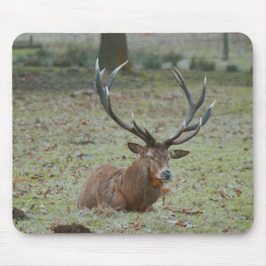 Deer buck Mousepad Muismat (Voorkant)