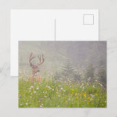 Deer Buck | Nationaal park Mount Rainier Briefkaart (Voorkant / Achterkant)