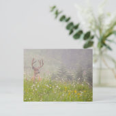 Deer Buck | Nationaal park Mount Rainier Briefkaart (Staand voorkant)