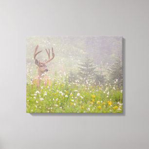 Deer Buck   Nationaal park Mount Rainier Canvas Afdruk
