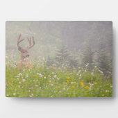 Deer Buck | Nationaal park Mount Rainier Fotoplaat (voorkant)