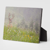 Deer Buck | Nationaal park Mount Rainier Fotoplaat (Zijkant)