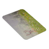 Deer Buck | Nationaal park Mount Rainier Magneet (Rechterzijde)