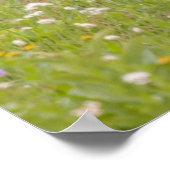 Deer Buck | Nationaal park Mount Rainier Poster (Hoek)