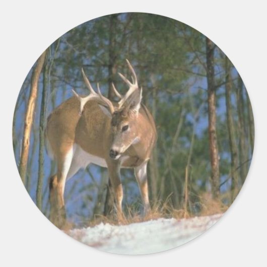 Deer Buck Ronde Sticker (Voorkant)
