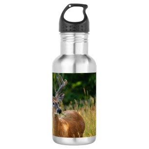 Deer Buck Waterfles