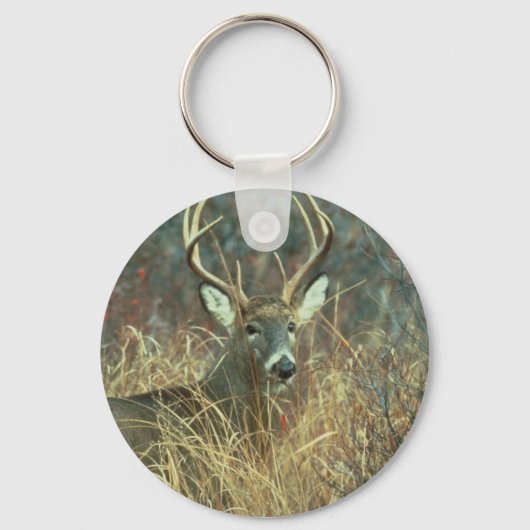 Deer / Buck / White-tailed Deer Sleutelhanger (Voorkant)