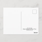 Deer, buck, wildlife, briefkaart (Achterkant)