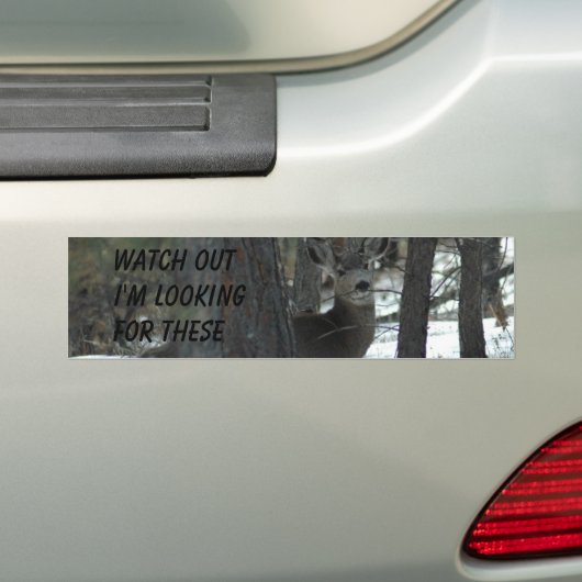 DEER BUMPERSTICKER (Op auto)