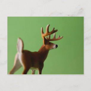 Deer Butt Briefkaart