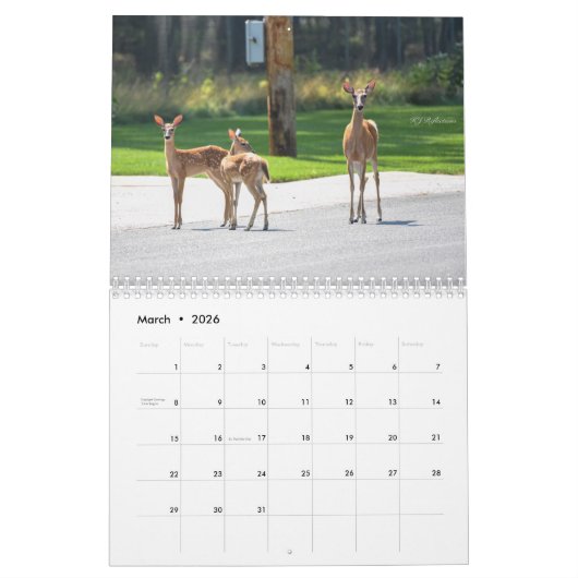 Deer Calendar Kalender (Mar 2026)