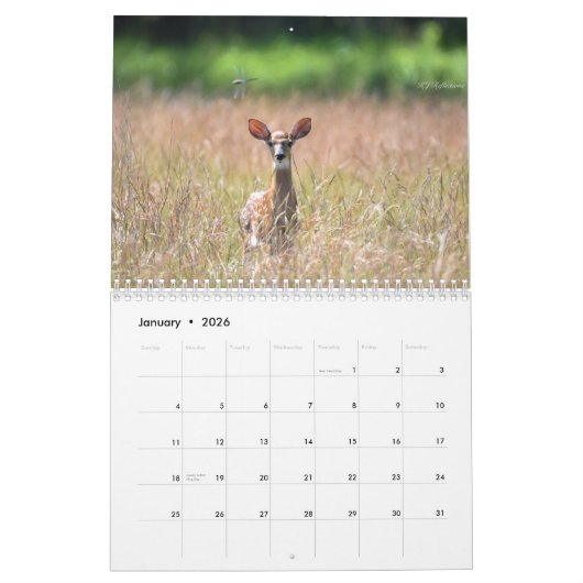 Deer Calendar Kalender (Jan 2026)