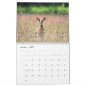 Deer Calendar Kalender (Jan 2027)