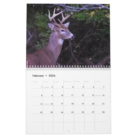 Deer Calendar Kalender (Feb 2026)