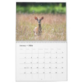 Deer Calendar Kalender (Jan 2026)