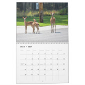 Deer Calendar Kalender (Mar 2027)