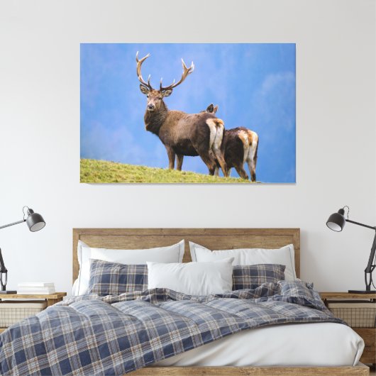Deer Canvas Afdruk (Insitu (Slaapkamer))