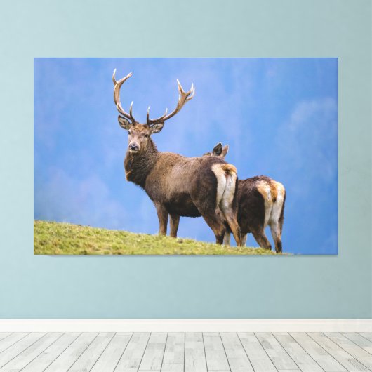Deer Canvas Afdruk (Insitu (Houten vloer))