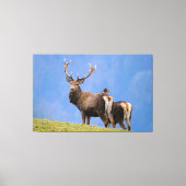 Deer Canvas Afdruk (Voorkant)