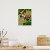 Deer, Chase the Fawn in the Sunlight Poster (Keuken)