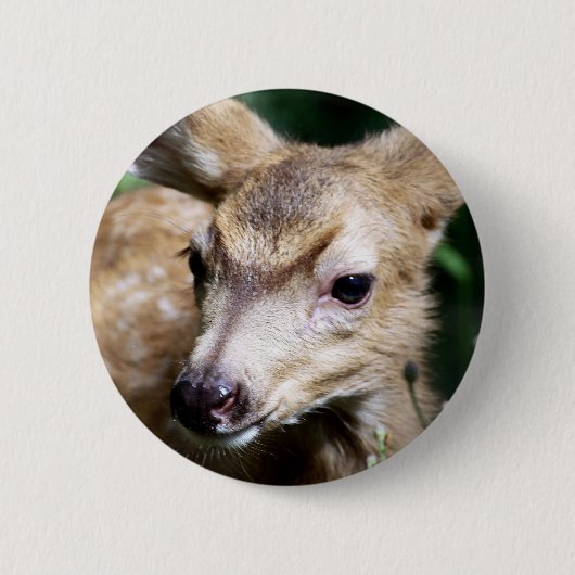 Deer Closeup Ronde Button 5,7 Cm (Voorkant)