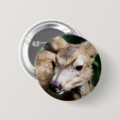 Deer Closeup Ronde Button 5,7 Cm (Voorkant /achterkant)