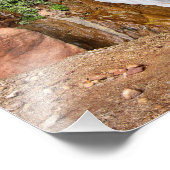 Deer Creek Herfsten - Grand Canyon - Waterval Foto Afdruk (Hoek)