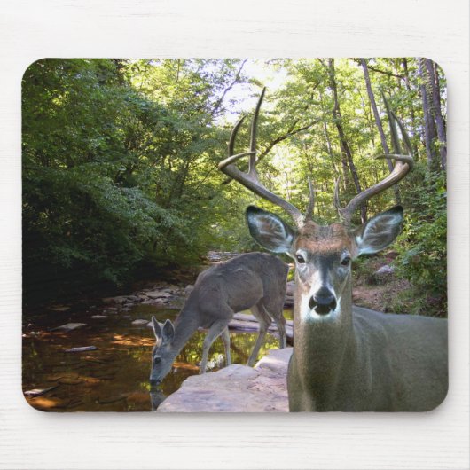 Deer Creek Mousepad 01 Muismat (Voorkant)