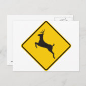 Deer Crossing Highway Sign Briefkaart (Voorkant / Achterkant)