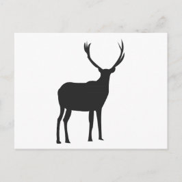 Deer Cute Antlers Briefkaart