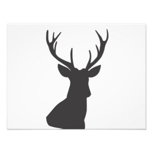 Deer Deer Silhouette Animal Wild Postca Foto Afdruk