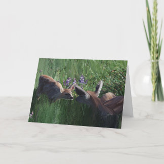 Deer Doe en Fawn briefpapier kaarten leeg binnen.