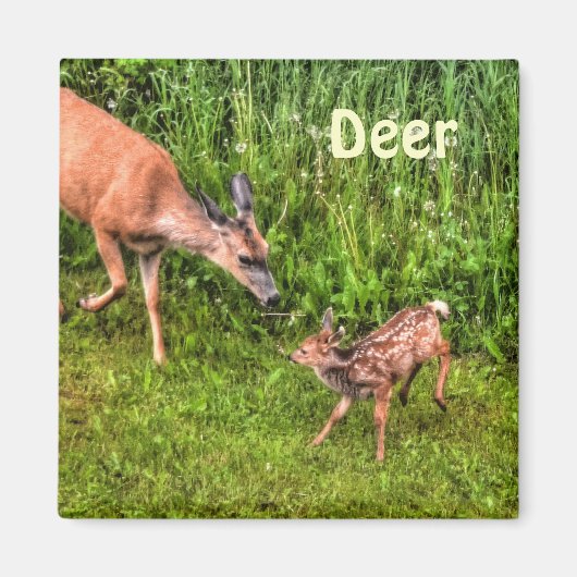 Deer Doe en Fawn Wildlife Animal Design Magneet (Voorkant)