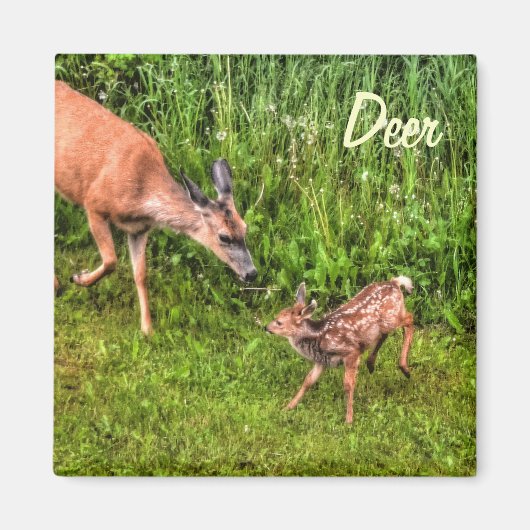 Deer Doe en Fawn Wildlife Animal Design Magneet (Voorkant)