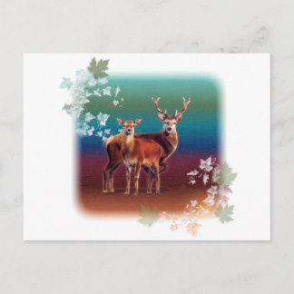 Deer Duo Briefkaart