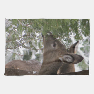 Deer Eating Cedar Branches Theedoek