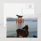 Deer en Big Red Gate in Miyajima in Japan Briefkaart (Voorkant / Achterkant)